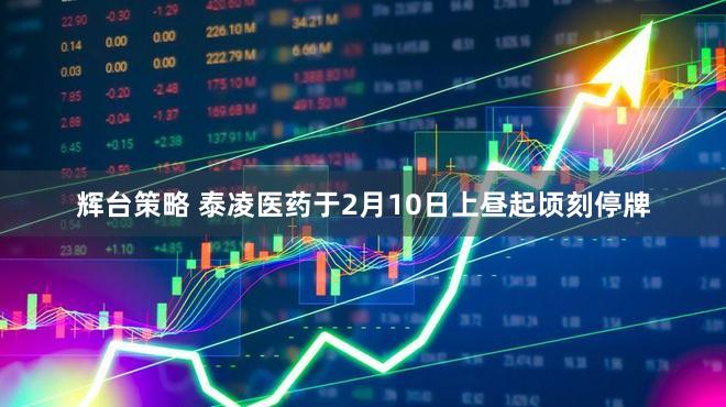 辉台策略 泰凌医药于2月10日上昼起顷刻停牌