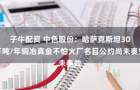子牛配资 中色股份：哈萨克斯坦30万吨/年铜冶真金不怕火厂名目公约尚未奏效