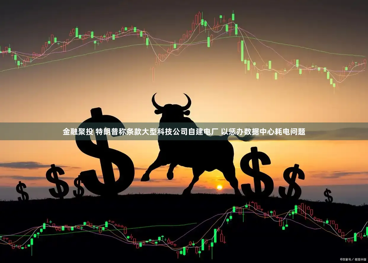 金融聚投 特朗普称条款大型科技公司自建电厂 以惩办数据中心耗电问题