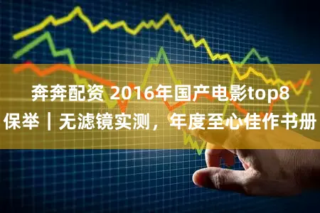 奔奔配资 2016年国产电影top8保举|无滤镜实测,年度至心佳作书册