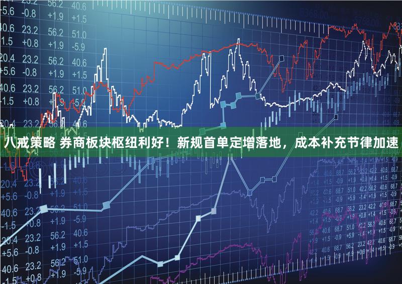 八戒策略 券商板块枢纽利好！新规首单定增落地，成本补充节律加速