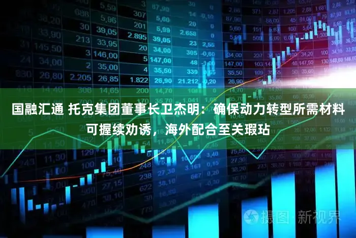 国融汇通 托克集团董事长卫杰明:确保动力转型所需材料可握续劝诱,海外配合至关瑕玷