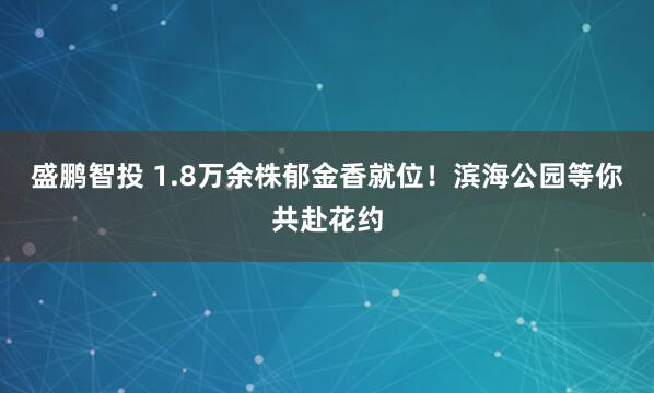 盛鹏智投 1.8万余株郁金香就位!滨海公园等你共赴花约