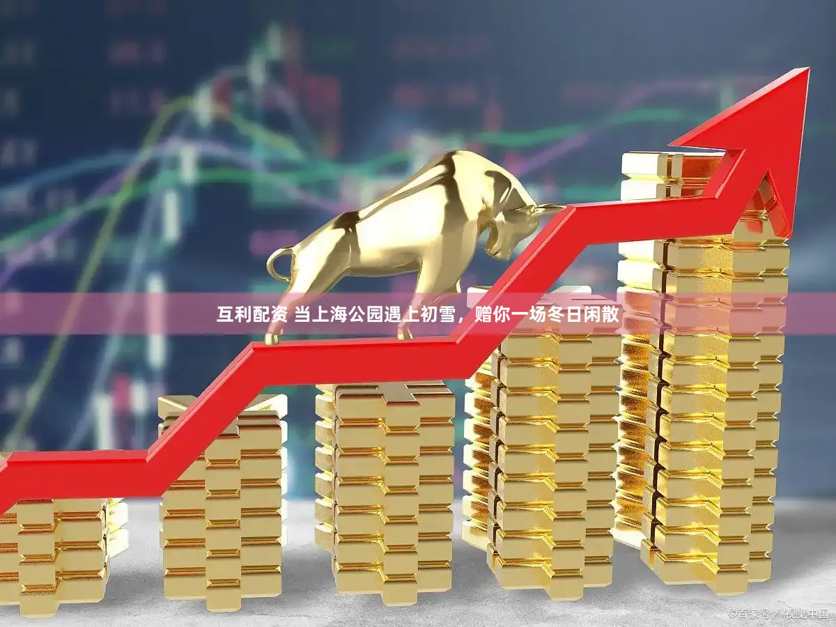 互利配资 当上海公园遇上初雪,赠你一场冬日闲散