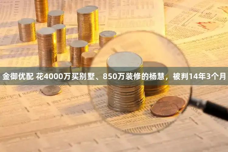 金御优配 花4000万买别墅、850万装修的杨慧，被判14年3个月